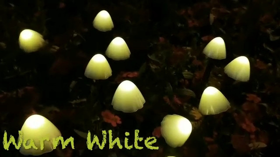 2700K IP55 Zasilane energią słoneczną LED String Lights / Grzybowe Solar Garden Lights Ślub Świąteczna dekoracja